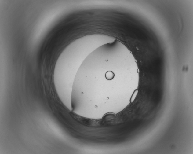 X0000110690766200907021933