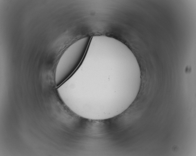 X0000110690768200907021933