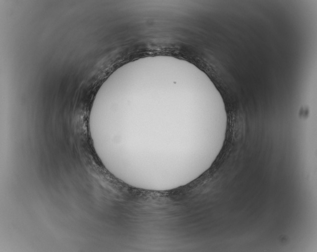 X0000110690770200907021933