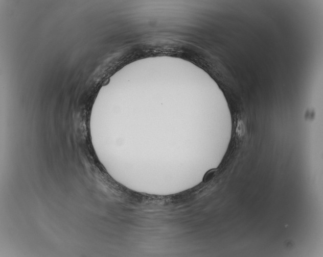 X0000110690771200907021933