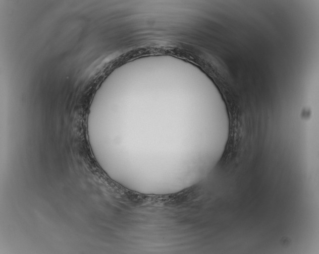 X0000110690773200907021933