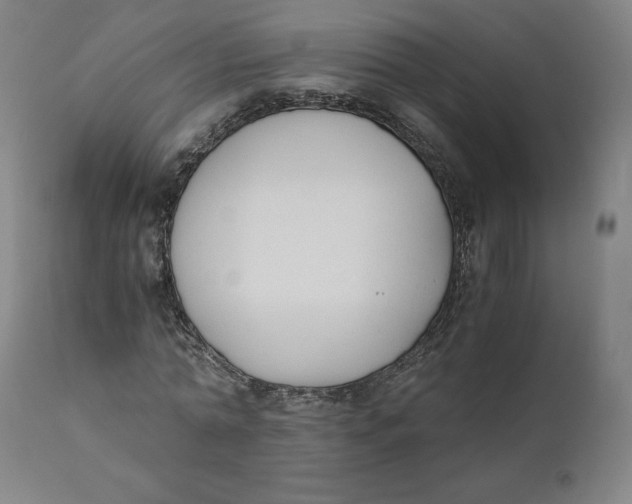 X0000110690774200907021933