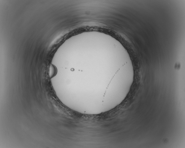 X0000110690775200907021933