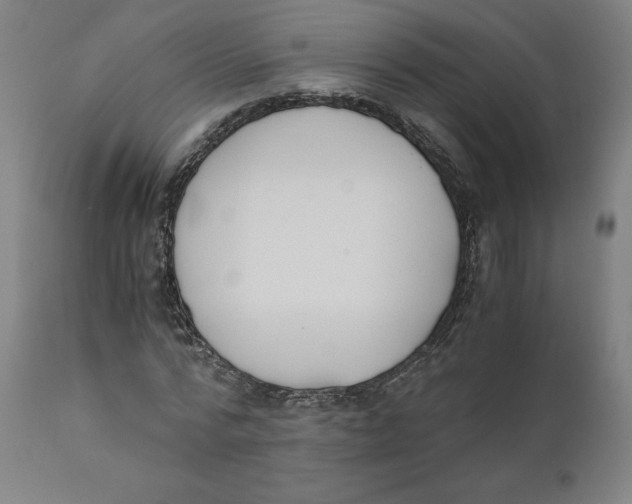 X0000110690776200907021933