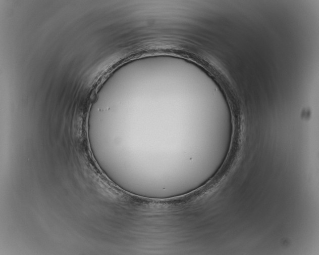 X0000110690777200907021933