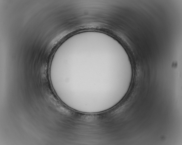 X0000110690778200907021933