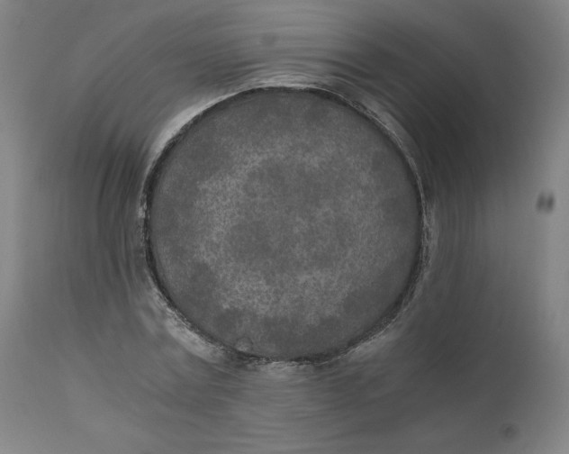 X0000110690779200907021933