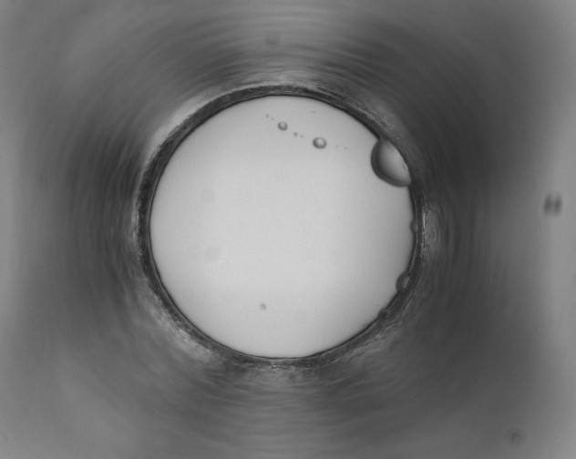 X0000110690780200907021932