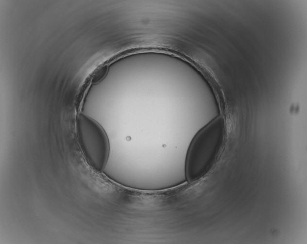 X0000110690781200907021932