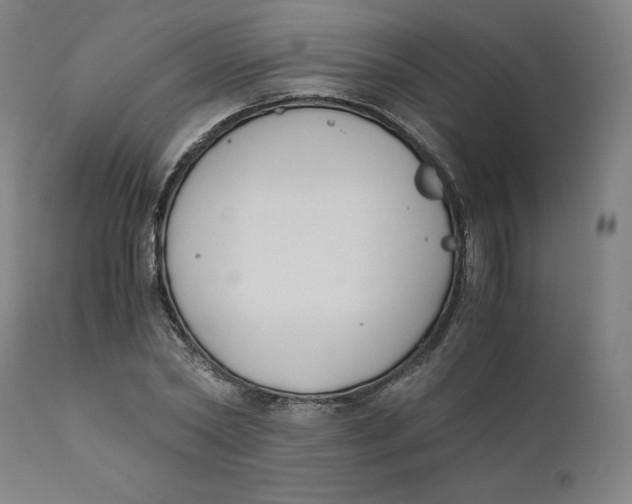 X0000110690782200907021932