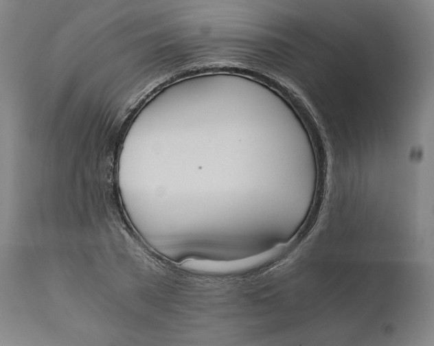 X0000110690785200907021932