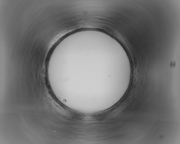 X0000110690787200907021932