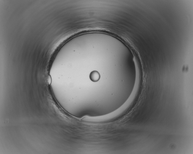 X0000110690789200907021932