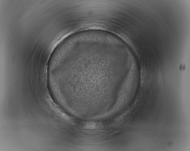 X0000110690790200907021932