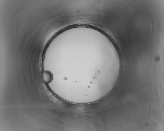 X0000110690791200907021932