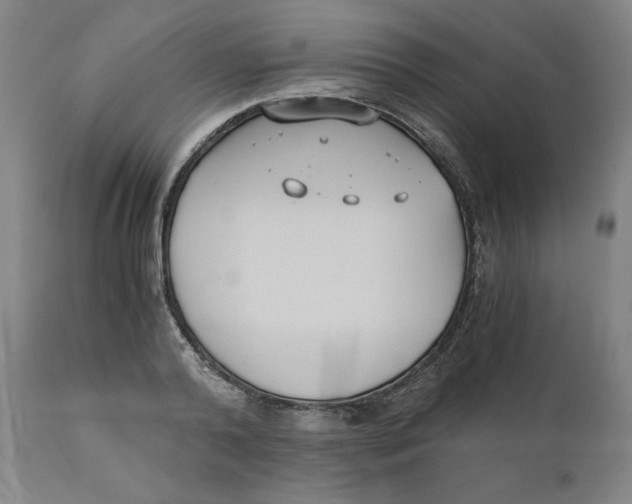 X0000110690792200907021932