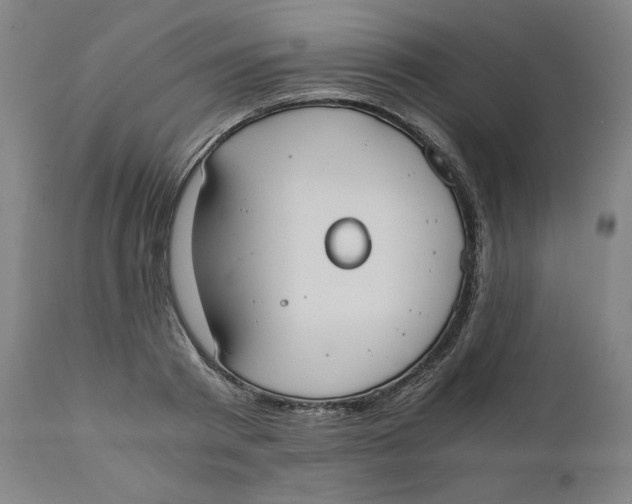 X0000110690793200907021932