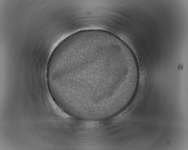 X0000110690797200907021932