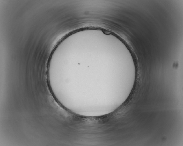 X0000110690799200907021932