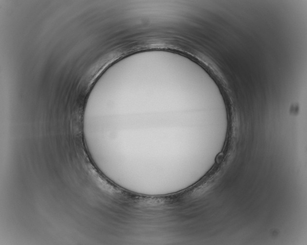 X0000110690801200907021932