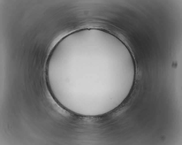 X0000110690803200907021932