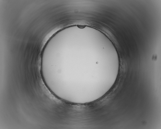 X0000110690804200907021932