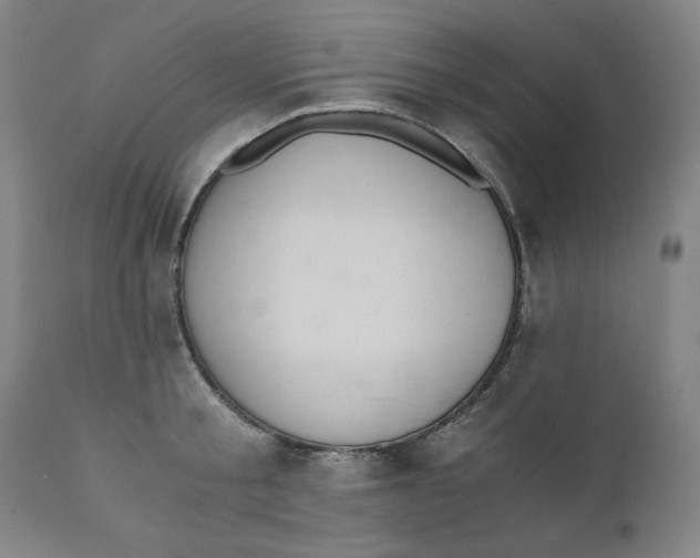 X0000110690805200907021932