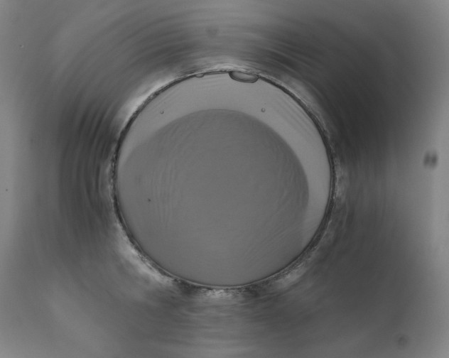 X0000110690806200907021932