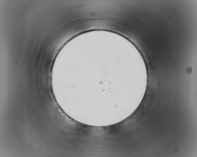 X0000110690807200907021932