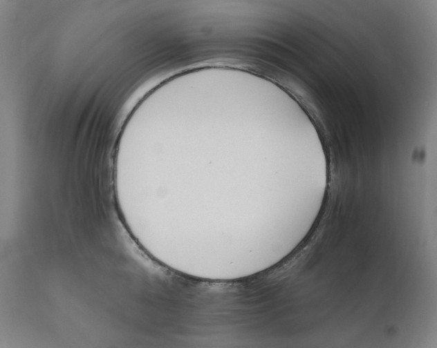 X0000110690808200907021932