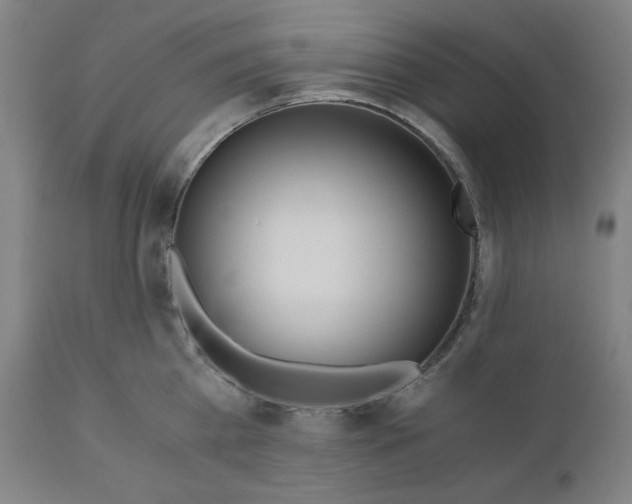 X0000110690809200907021932