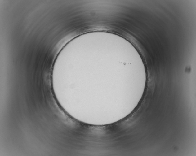 X0000110690810200907021932