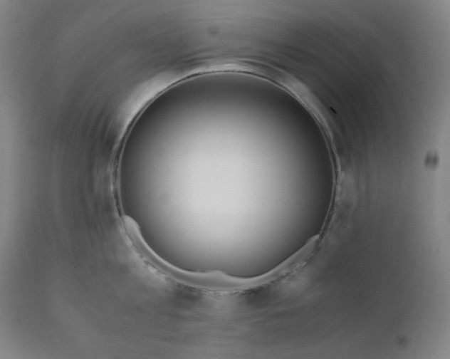 X0000110690813200907021932