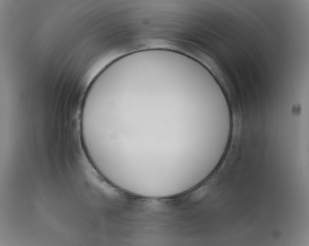 X0000110690814200907021932