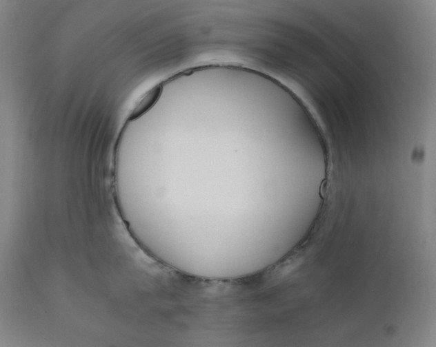 X0000110690815200907021932