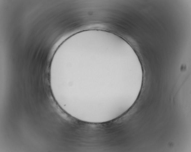 X0000110690816200907021932