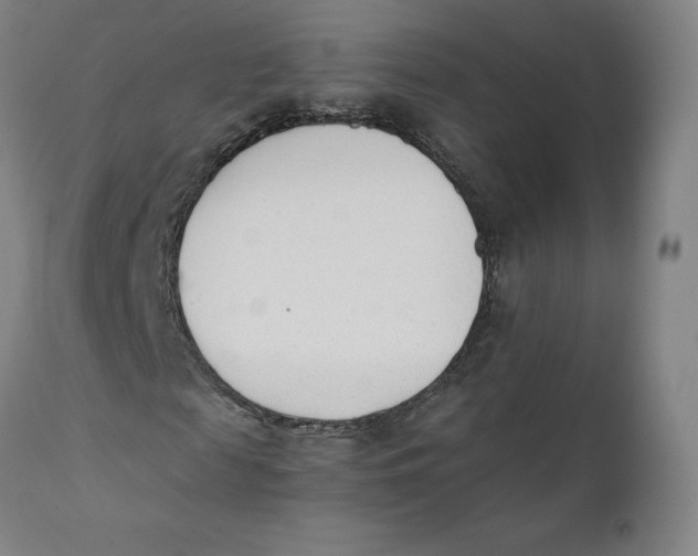 X0000110690817200907021931