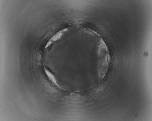 X0000110690818200907021931