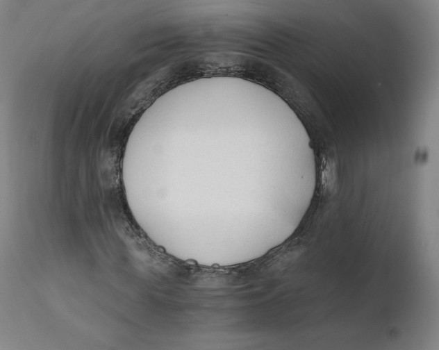 X0000110690819200907021931