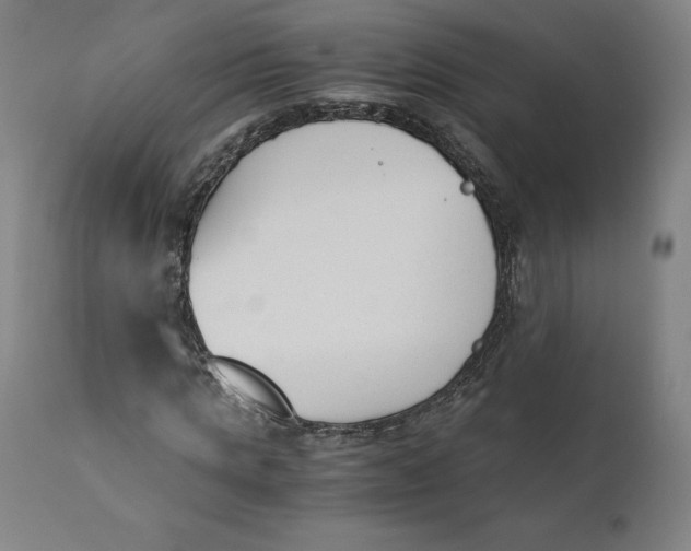 X0000110690821200907021931