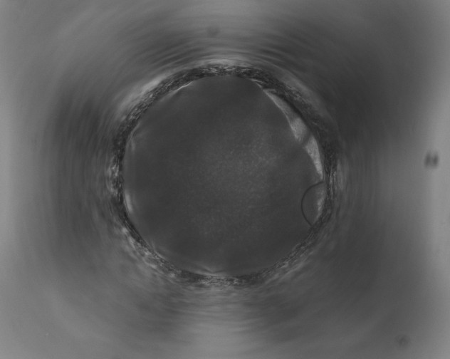 X0000110690822200907021931