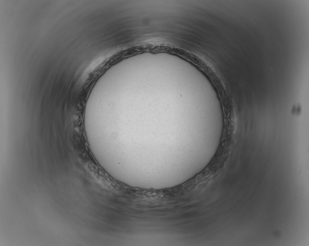 X0000110690823200907021931