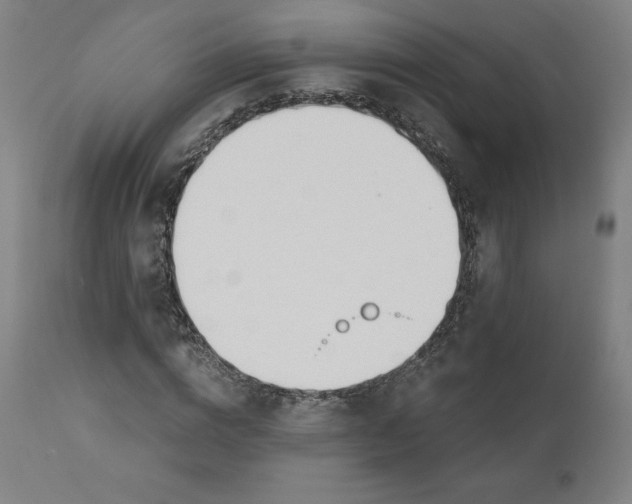 X0000110690824200907021931