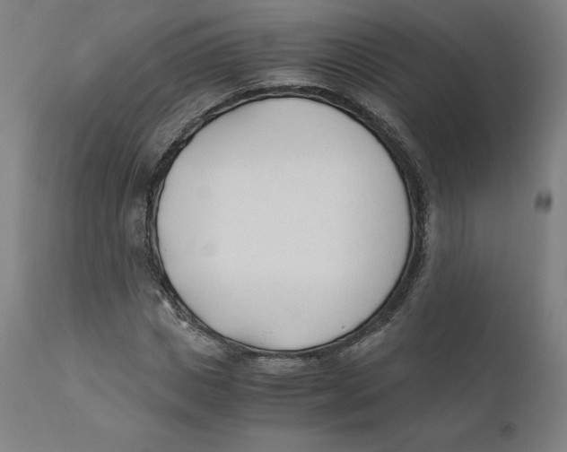 X0000110690825200907021931