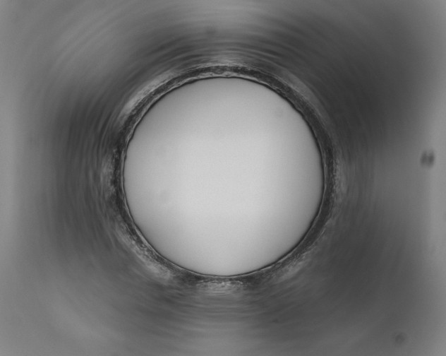 X0000110690826200907021931