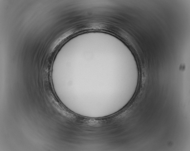 X0000110690827200907021931