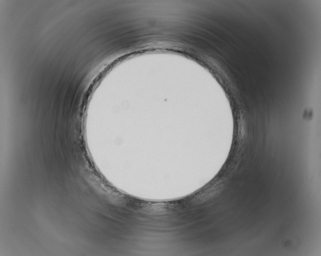 X0000110690828200907021931