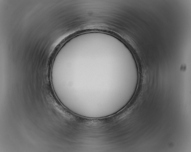 X0000110690830200907021931