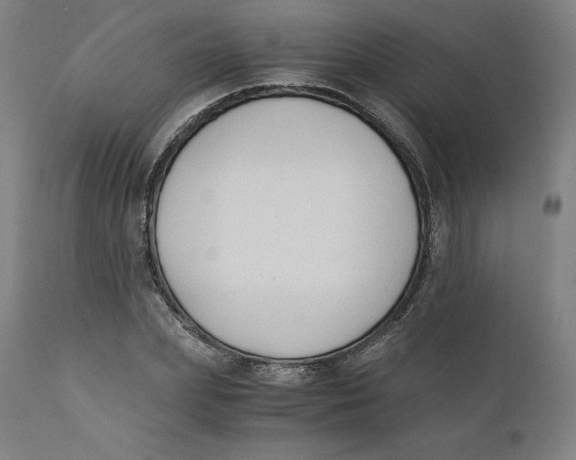 X0000110690831200907021931