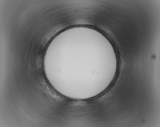 X0000110690833200907021931